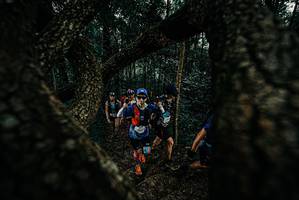 BIB: 
                            <button type="button" onclick="openModal(25677238)" class="btn btn-primary btn-sm float-right btn-popup" data-toggle="modal" data-target=".modal-high-quality">
                        <i class="fas fa-shopping-cart"></i> Add to Cart
                    </button>
                                            <button type="button" onclick="isThisMe(25677238, true)" class="btn btn-success btn-sm float-right btn-popup btn-isme hidden" data-toggle="tooltip" data-placement="bottom" title="นี่คือรูปของคุณใช่ไหม คลิกที่นี่เพื่อเอาเข้าอัลบั้ม">
                        <i class="fas fa-plus"></i> Add to album
                    </button>
                    <button type="button" onclick="isThisMe(25677238, false)" class="btn btn-warning btn-sm float-right btn-popup btn-isnotme hidden">
                        <i class="fas fa-ban"></i> Remove from album
                    </button>